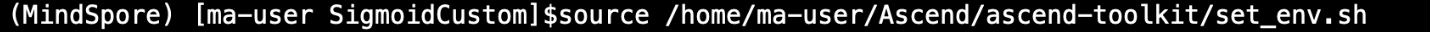 加载 Ascend 环境变量命令示例