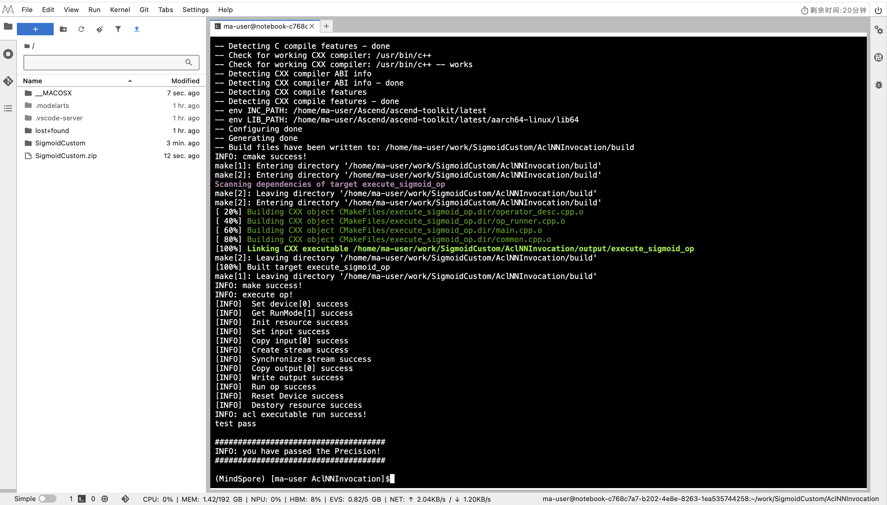 AclNN 调用测试通过界面